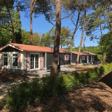 Вілла Chalet Forest Барле-Нассау Екстер'єр фото